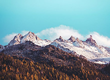 开云官网-九游体育app下在：一键开启你的专属体育世界